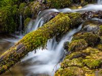 Kaskade mit darüberliegendem bemoosten Astteil